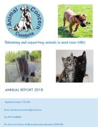 Annual Report 2018