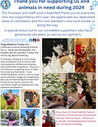 Newsletter 2024