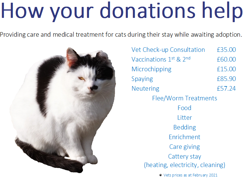 cats how your donations help
