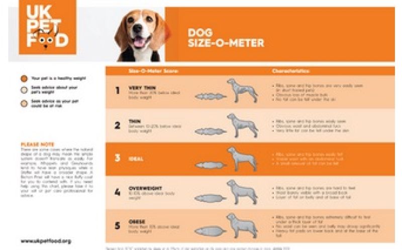 Dog weight chart