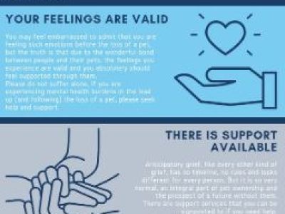 Animal Concern Cumbria