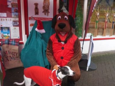 Animal Concern Cumbria