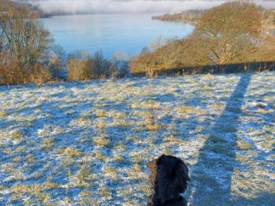 Animal Concern Cumbria