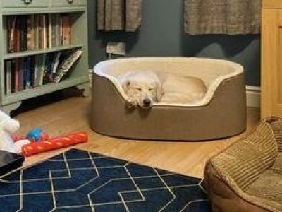 Animal Concern Cumbria