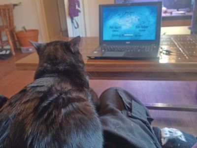 Animal Concern Cumbria